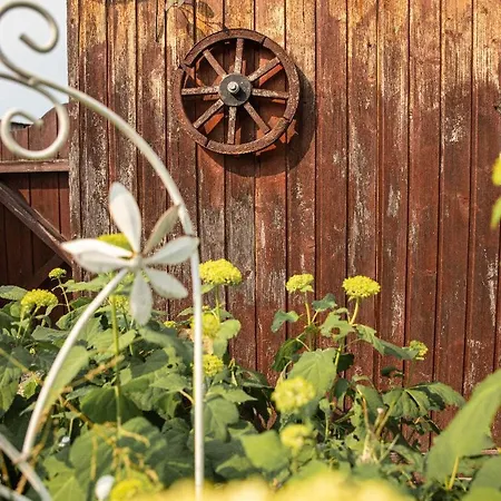 Tatil Evi Blick Falkenstein